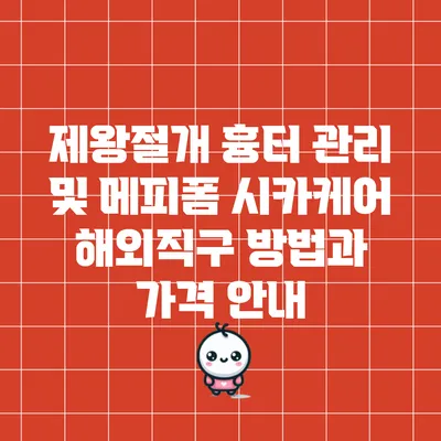 제왕절개 흉터 관리 및 메피폼 시카케어 해외직구 방법과 가격 안내