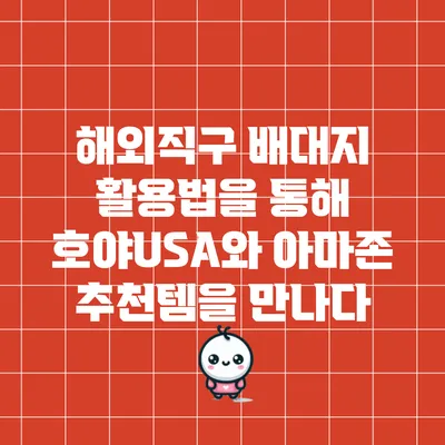 해외직구 배대지 활용법을 통해 호야USA와 아마존 추천템을 만나다