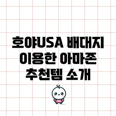 호야USA 배대지 이용한 아마존 추천템 소개