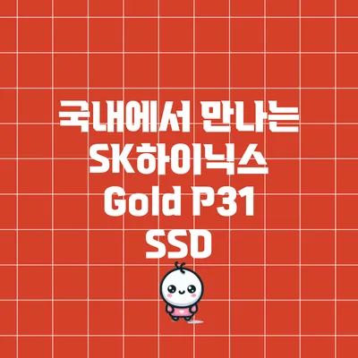 국내에서 만나는 SK하이닉스 Gold P31 SSD