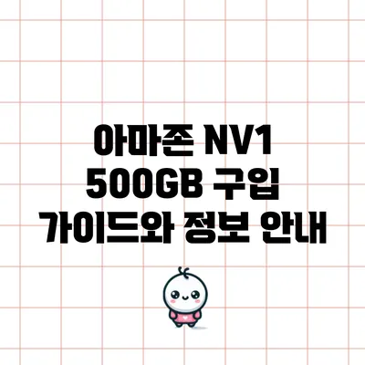 아마존 NV1 500GB 구입 가이드와 정보 안내