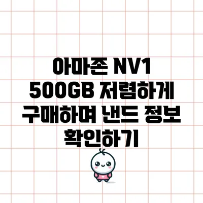 아마존 NV1 500GB 저렴하게 구매하며 낸드 정보 확인하기