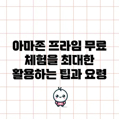 아마존 프라임 무료 체험을 최대한 활용하는 팁과 요령