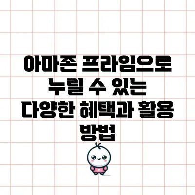 아마존 프라임으로 누릴 수 있는 다양한 혜택과 활용 방법