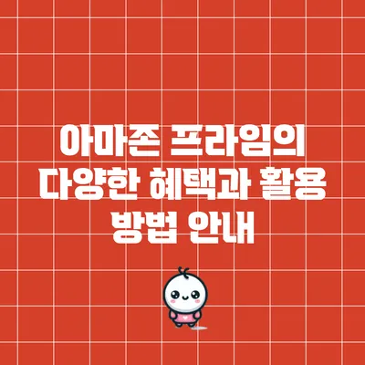 아마존 프라임의 다양한 혜택과 활용 방법 안내