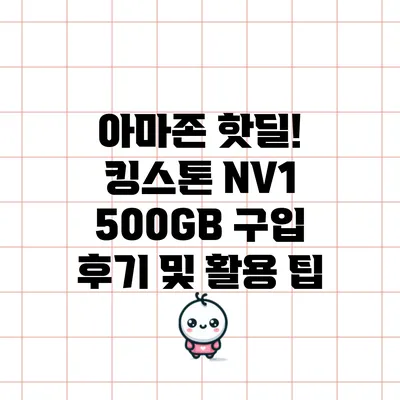 아마존 핫딜! 킹스톤 NV1 500GB 구입 후기 및 활용 팁