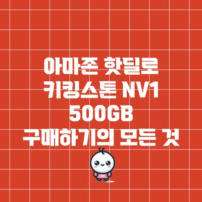 아마존 핫딜로 키킹스톤 NV1 500GB 구매하기의 모든 것