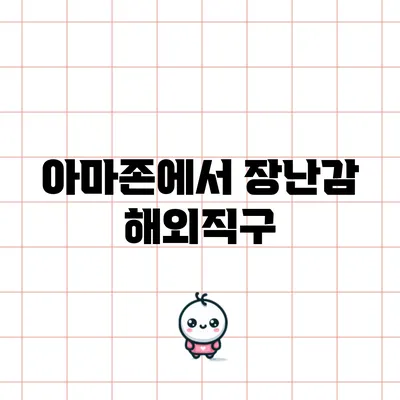 아마존에서 장난감 해외직구