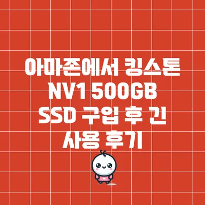 아마존에서 킹스톤 NV1 500GB SSD 구입 후 긴 사용 후기