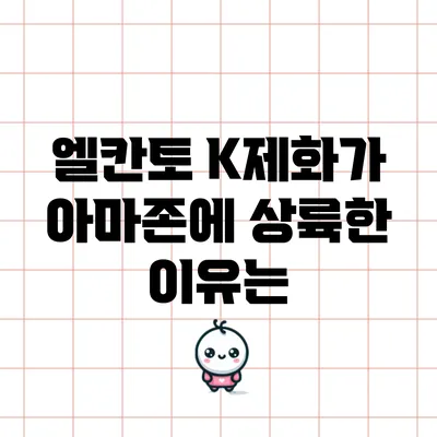 엘칸토 K제화가 아마존에 상륙한 이유는?