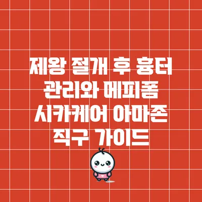 제왕 절개 후 흉터 관리와 메피폼 시카케어 아마존 직구 가이드