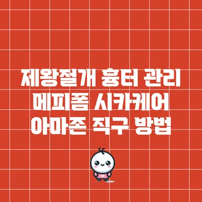 제왕절개 흉터 관리: 메피폼 시카케어 아마존 직구 방법