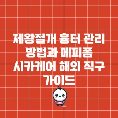 제왕절개 흉터 관리 방법과 메피폼 시카케어 해외 직구 가이드