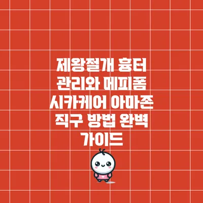 제왕절개 흉터 관리와 메피폼 시카케어 아마존 직구 방법 완벽 가이드