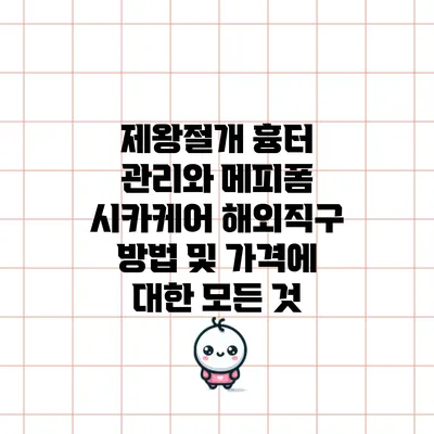 제왕절개 흉터 관리와 메피폼 시카케어 해외직구 방법 및 가격에 대한 모든 것