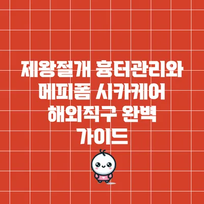 제왕절개 흉터관리와 메피폼 시카케어 해외직구 완벽 가이드