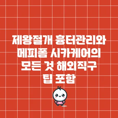 제왕절개 흉터관리와 메피폼 시카케어의 모든 것: 해외직구 팁 포함