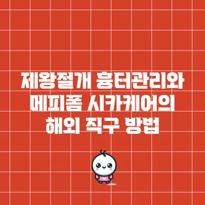 제왕절개 흉터관리와 메피폼 시카케어의 해외 직구 방법