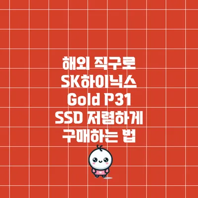 해외 직구로 SK하이닉스 Gold P31 SSD 저렴하게 구매하는 법