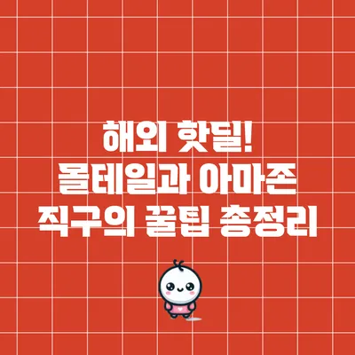 해외 핫딜! 몰테일과 아마존 직구의 꿀팁 총정리