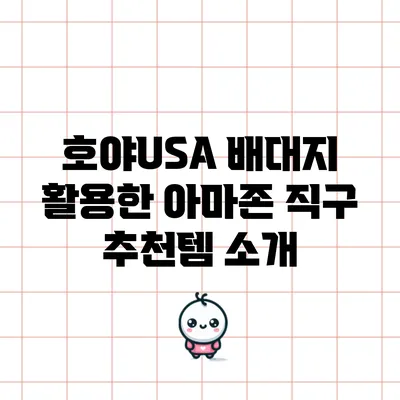 호야USA 배대지 활용한 아마존 직구 추천템 소개