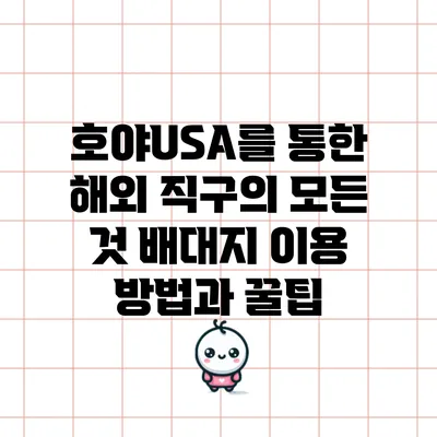 호야USA를 통한 해외 직구의 모든 것: 배대지 이용 방법과 꿀팁