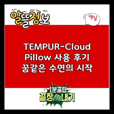 TEMPUR-Cloud Pillow 사용 후기: 꿈같은 수면의 시작