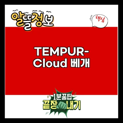 TEMPUR-Cloud 베개