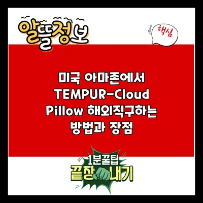 미국 아마존에서 TEMPUR-Cloud Pillow 해외직구하는 방법과 장점