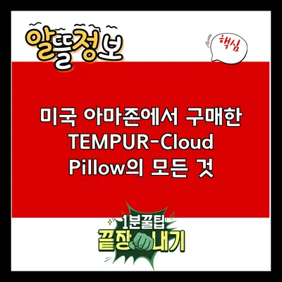 미국 아마존에서 구매한 TEMPUR-Cloud Pillow의 모든 것