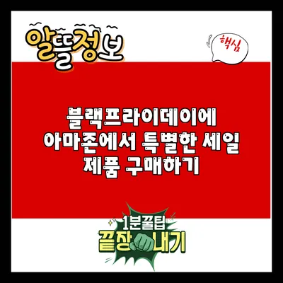 블랙프라이데이에 아마존에서 특별한 세일 제품 구매하기