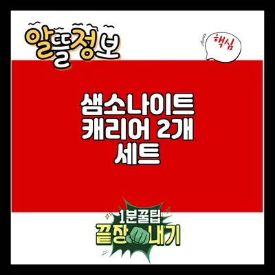 샘소나이트 캐리어 2개 세트