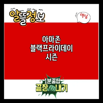 아마존 블랙프라이데이 시즌