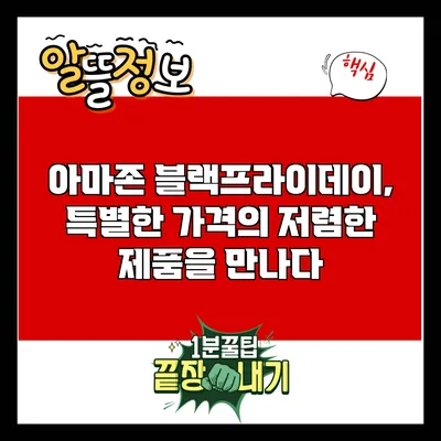 아마존 블랙프라이데이, 특별한 가격의 저렴한 제품을 만나다