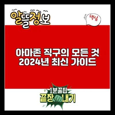 아마존 직구의 모든 것: 2024년 최신 가이드