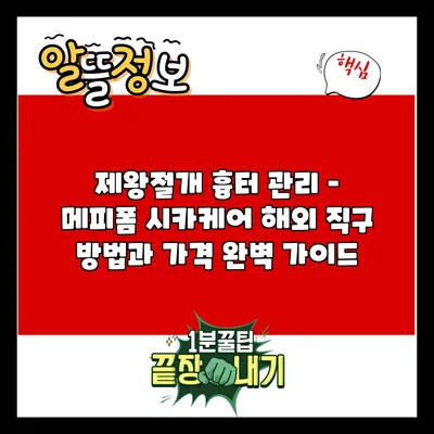 제왕절개 흉터 관리 – 메피폼 시카케어 해외 직구 방법과 가격 완벽 가이드