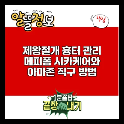 제왕절개 흉터 관리: 메피폼 시카케어와 아마존 직구 방법