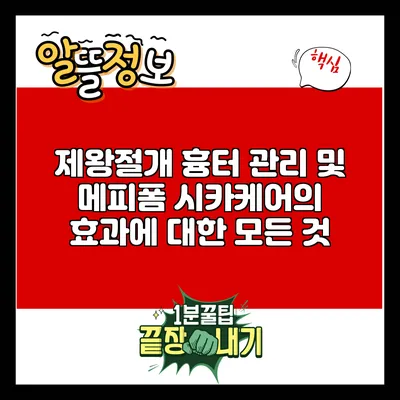 제왕절개 흉터 관리 및 메피폼 시카케어의 효과에 대한 모든 것