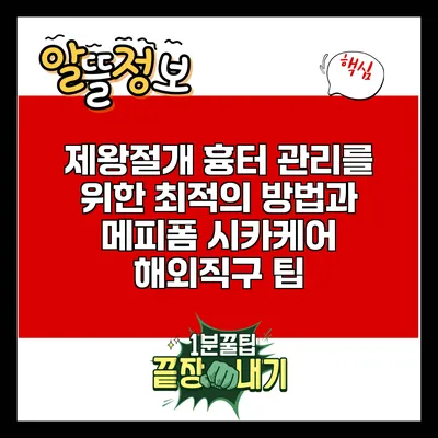 제왕절개 흉터 관리를 위한 최적의 방법과 메피폼 시카케어 해외직구 팁