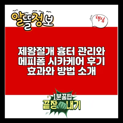 제왕절개 흉터 관리와 메피폼 시카케어 후기: 효과와 방법 소개