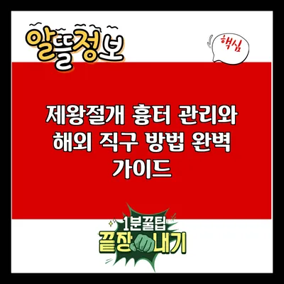 제왕절개 흉터 관리와 해외 직구 방법 완벽 가이드