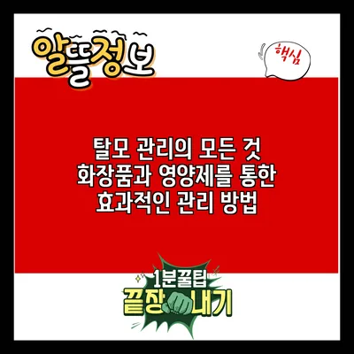 탈모 관리의 모든 것: 화장품과 영양제를 통한 효과적인 관리 방법