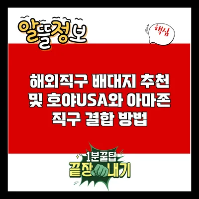 해외직구 배대지 추천 및 호야USA와 아마존 직구 결합 방법