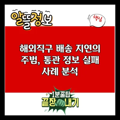 해외직구 배송 지연의 주범, 통관 정보 실패 사례 분석