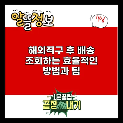 해외직구 후 배송 조회하는 효율적인 방법과 팁