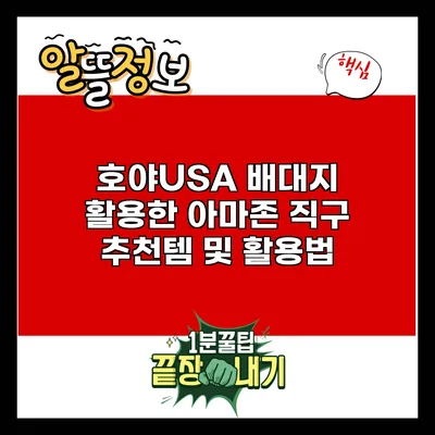 호야USA 배대지 활용한 아마존 직구 추천템 및 활용법