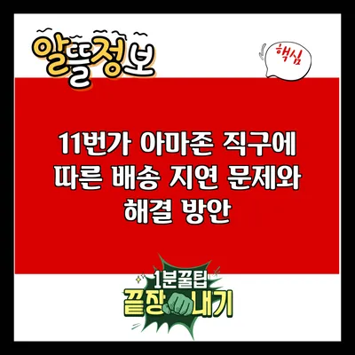 11번가 아마존 직구에 따른 배송 지연 문제와 해결 방안