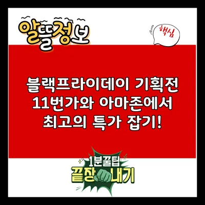 블랙프라이데이 기획전: 11번가와 아마존에서 최고의 특가 잡기!