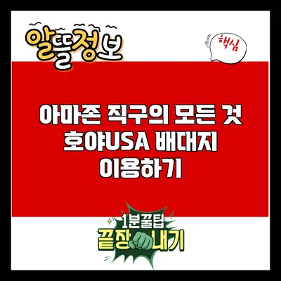 아마존 직구의 모든 것: 호야USA 배대지 이용하기