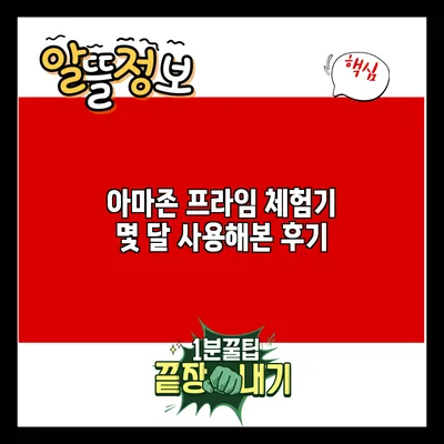 아마존 프라임 체험기: 몇 달 사용해본 후기